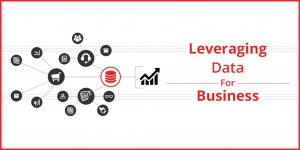 How To Leverage Data For Business [Infographic] - ProWebScraper